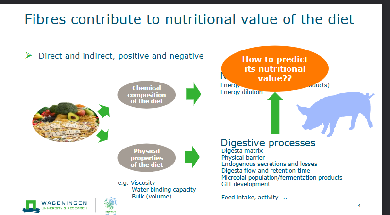 <p>Direct and indirect, positive and negative</p>