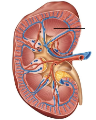 <p><span style="line-height: 17.375px;">Identify&nbsp;</span></p>