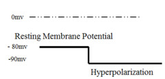 <p>membrane becomes more neg inside and more positive outside</p><p>changes from -80mV to-90mV</p>