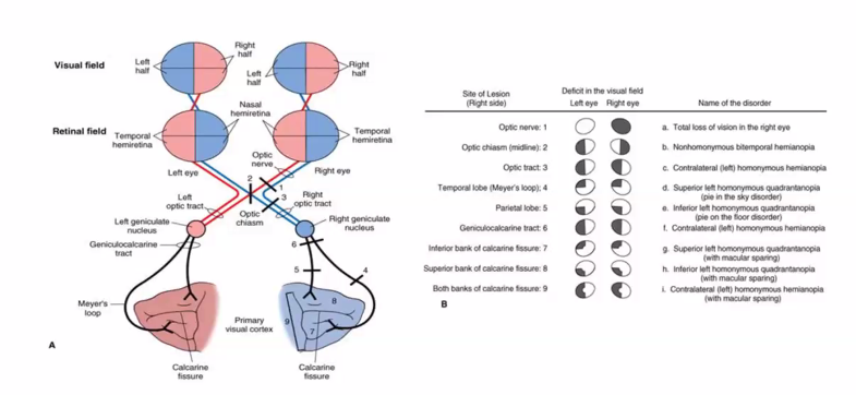 <p>it’s in the book. </p>