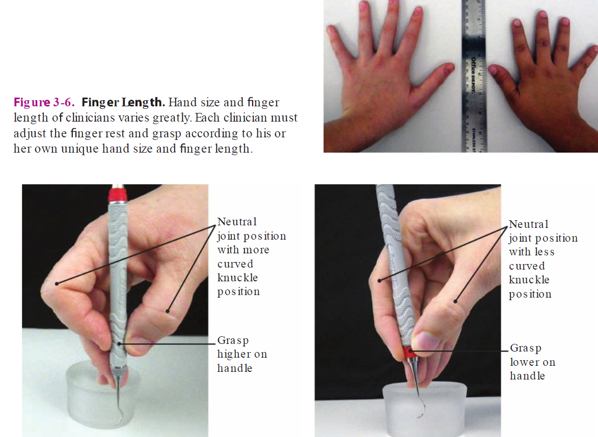 <p>People need to adjust finger rest and grasp according to hand size and finger lengths </p><p></p><p><strong>Short fingers</strong></p><ul><li><p>Knuckle of index and thumb more curved </p></li></ul><p></p><p><strong>Long fingers</strong></p><ul><li><p>Knuckle of index and thumb less curved </p></li></ul><p></p>