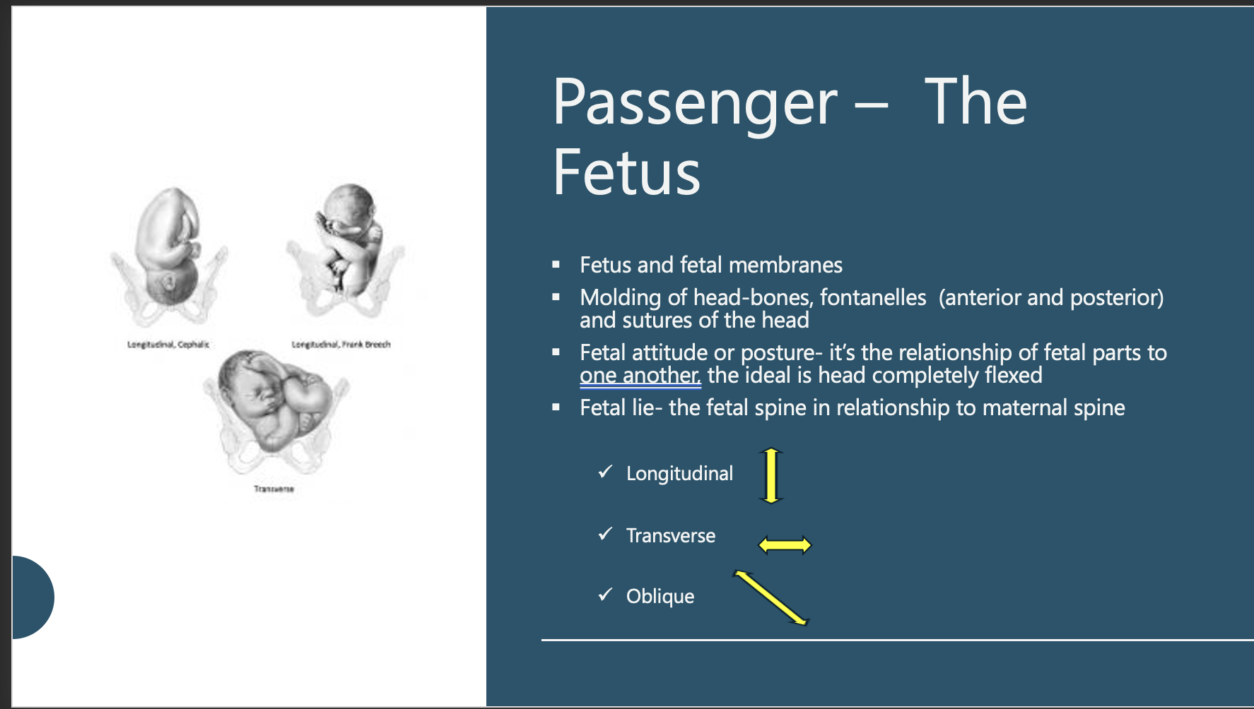 <p>Passenger –  The Fetus</p>