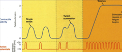 <p>frequency</p>