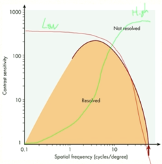 <p>Which line demonstrates a lens contrast sensitivity function?</p>