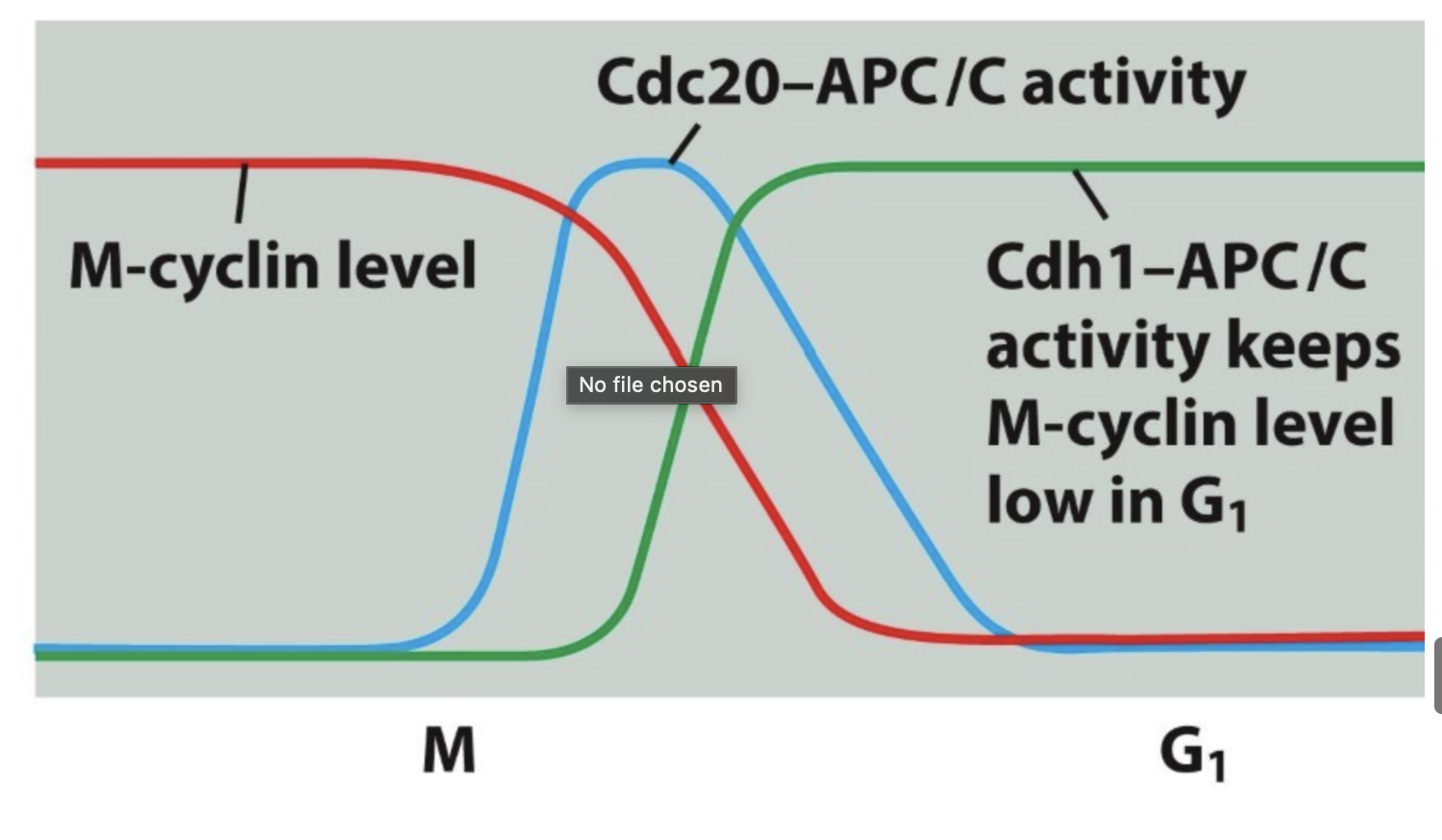 <p>What does this figure show?</p>