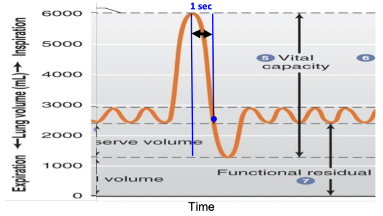 <p>Person takes max inhalation then exhales maximally as fast as possible</p><p>The fraction is the FEV1/VC x 100%</p>