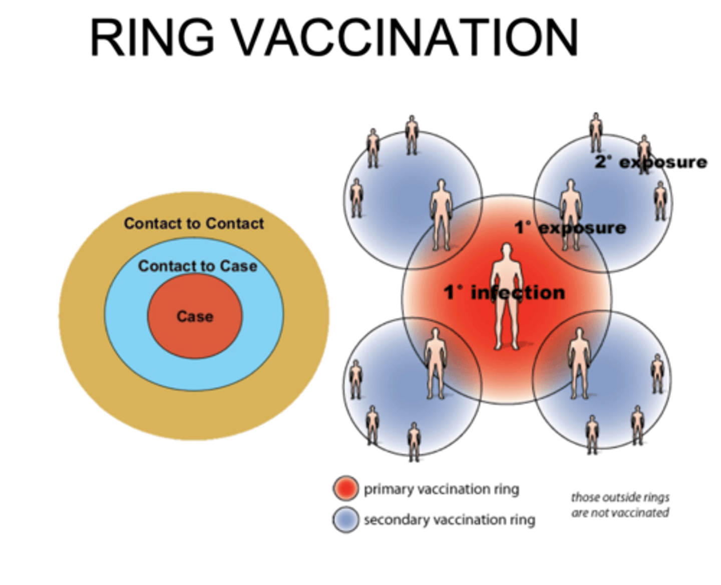 <p>Involves vaccinating all the people who have been in contact with the infected person</p>