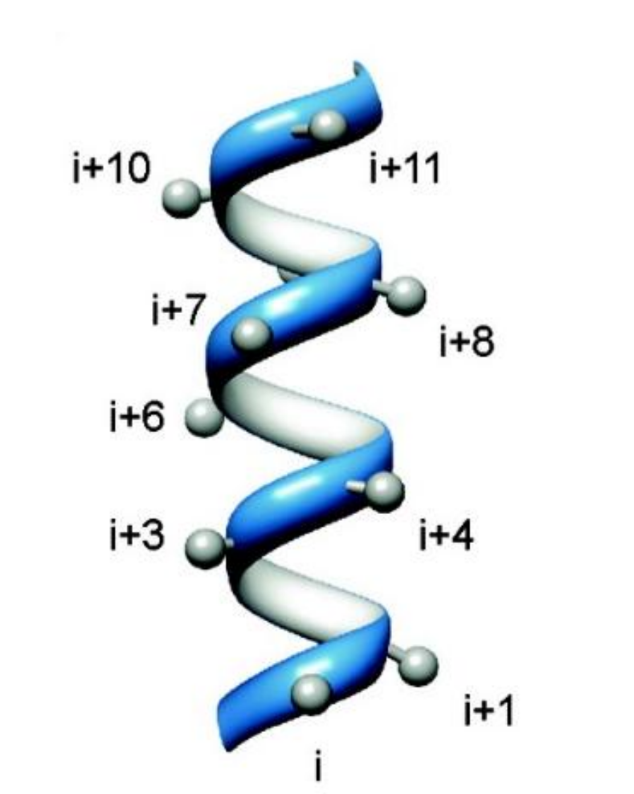 <p>i, i+4, i+7</p><p>means you can code for a chain with very specific properties on one side</p>