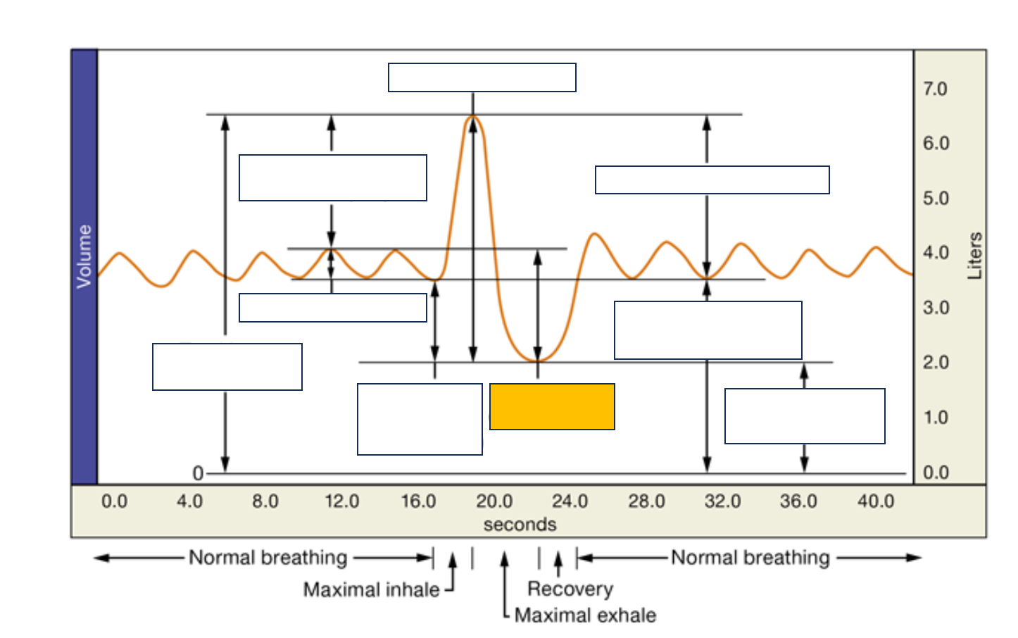 <p>name and def.</p>