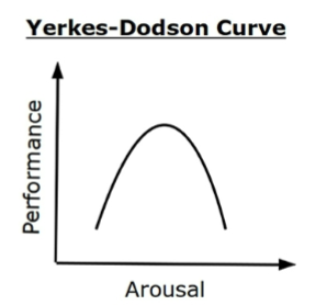 <p><span>"arousal" (stress, excitement, or alertness) impacts our ability to perform</span></p><ul><li><p>Low arousal = low performance</p><ul><li><p>too lazy to do anything</p></li></ul></li><li><p>Optimal arousal = peak performance</p><ul><li><p>Have enough norepinephrine to be focused</p></li></ul></li><li><p>High arousal = low performance</p><ul><li><p>Too stressed, panicked, or over-simulated</p></li></ul></li></ul><p></p>