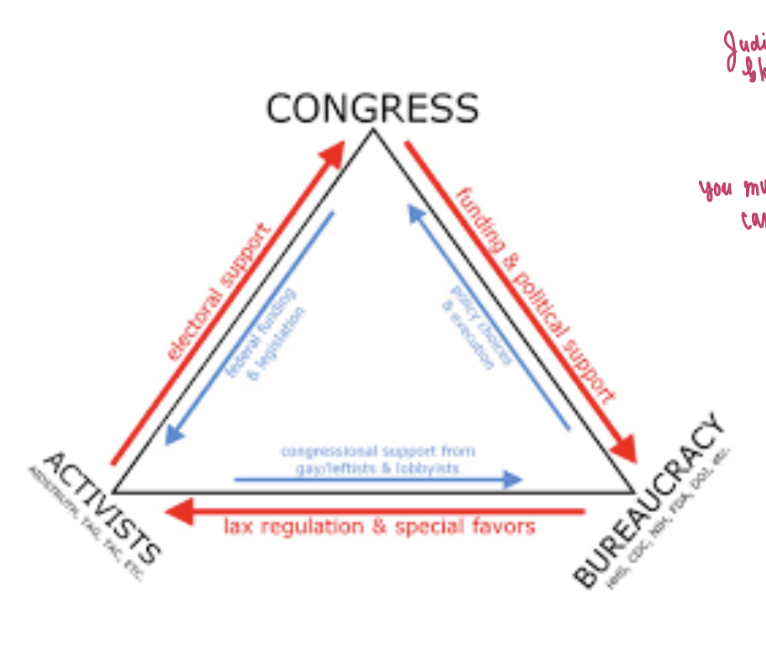 <p> Congress, Bureaucracy, & Activists</p>