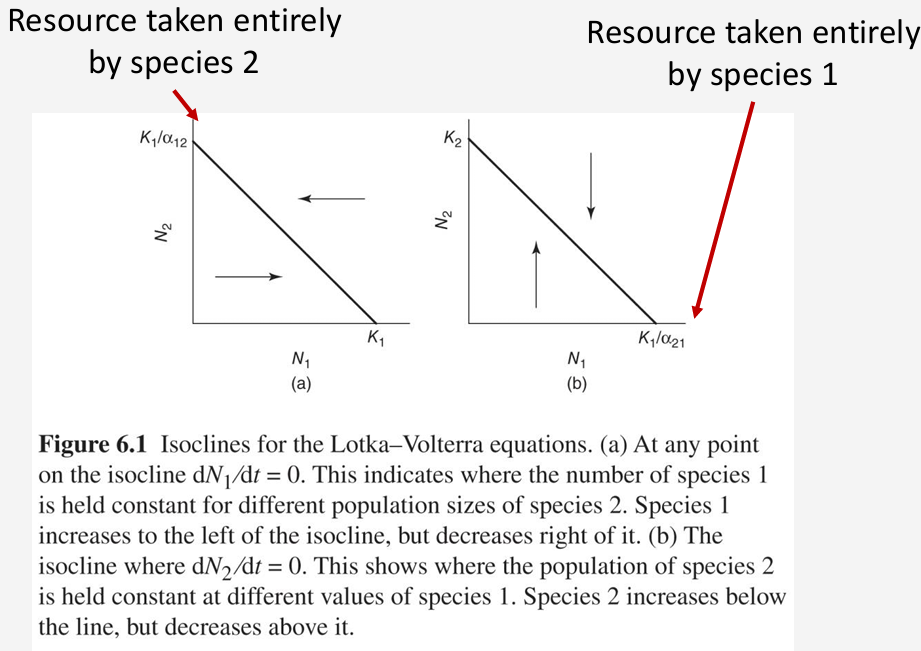 <ol><li><p>Theoretical/graphical models → coefficient of competition (d), Lotka-Volterra equations</p></li><li><p>Experiments → manipulative experiments, using deer mouse vs. voles. </p></li></ol><ul><li><p>Removal Experiment → actively removing one competitor from plot or area and seeing how the other species reacts</p></li><li><p>Press Experiment → presense/absence experiment, long-term areas (one abundant, one lacking), mainly observing</p></li></ul><p></p>