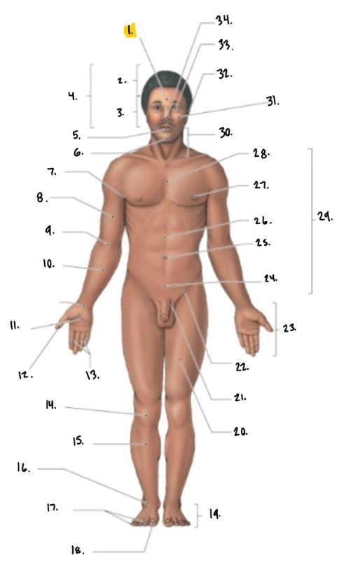 <p>9.</p>