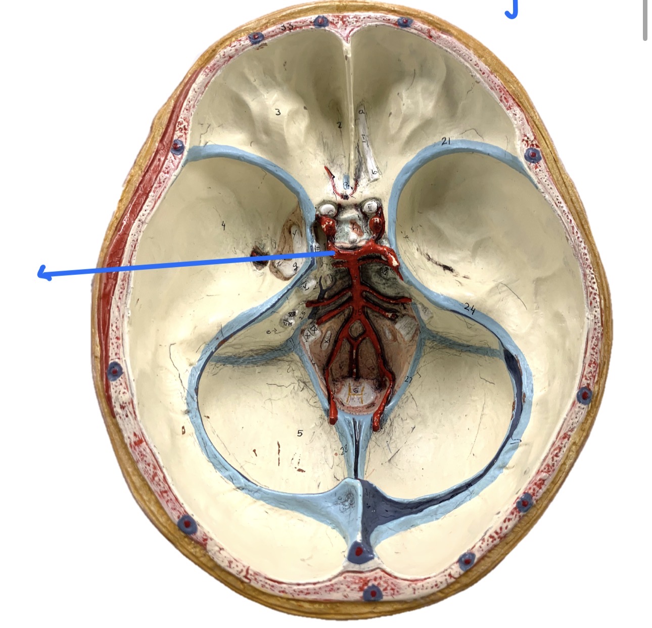 knowt flashcard image