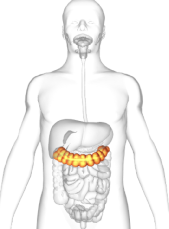 <p>what is highlighted</p>