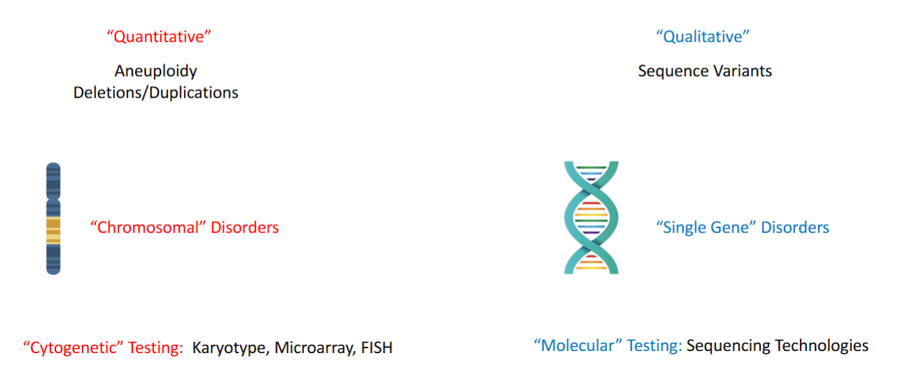 <ol><li><p>Quantitative = CYTOGENETIC → <strong>Karyotype, ACGH/Microarray, FISH</strong></p></li><li><p>Qualitative = MOLECULAR → sequence technologies</p></li></ol><p></p>