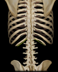 <p>identify the structure</p>