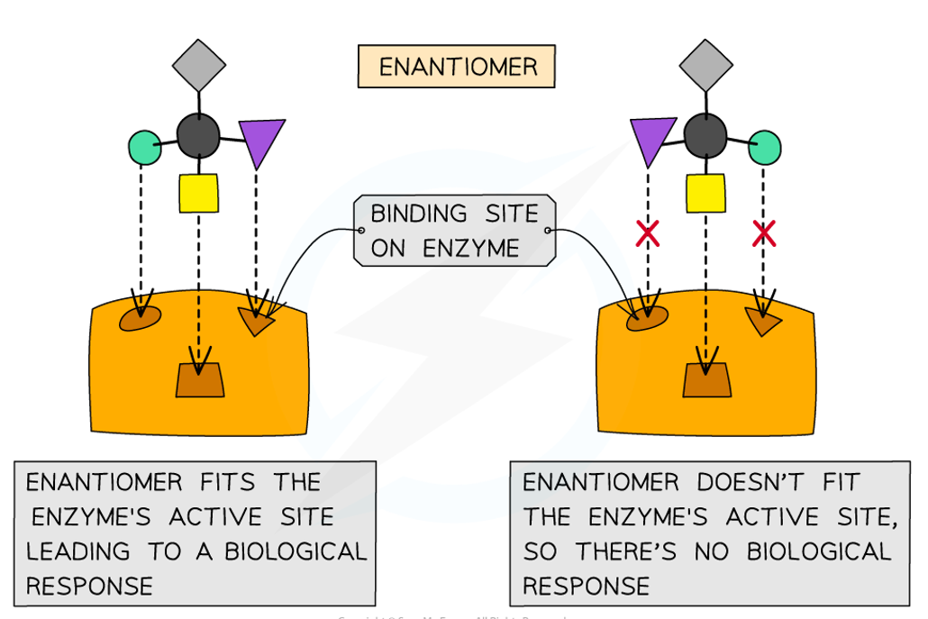 <p>Sometimes, only one enantiomer is effective due to enzyme’s active site being 3D</p>