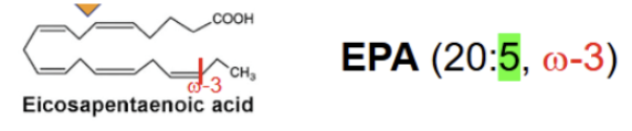<p>omega-3 FA synthesized from linolenate. Made from 2 desaturations and 1 elongation of linolenate</p>
