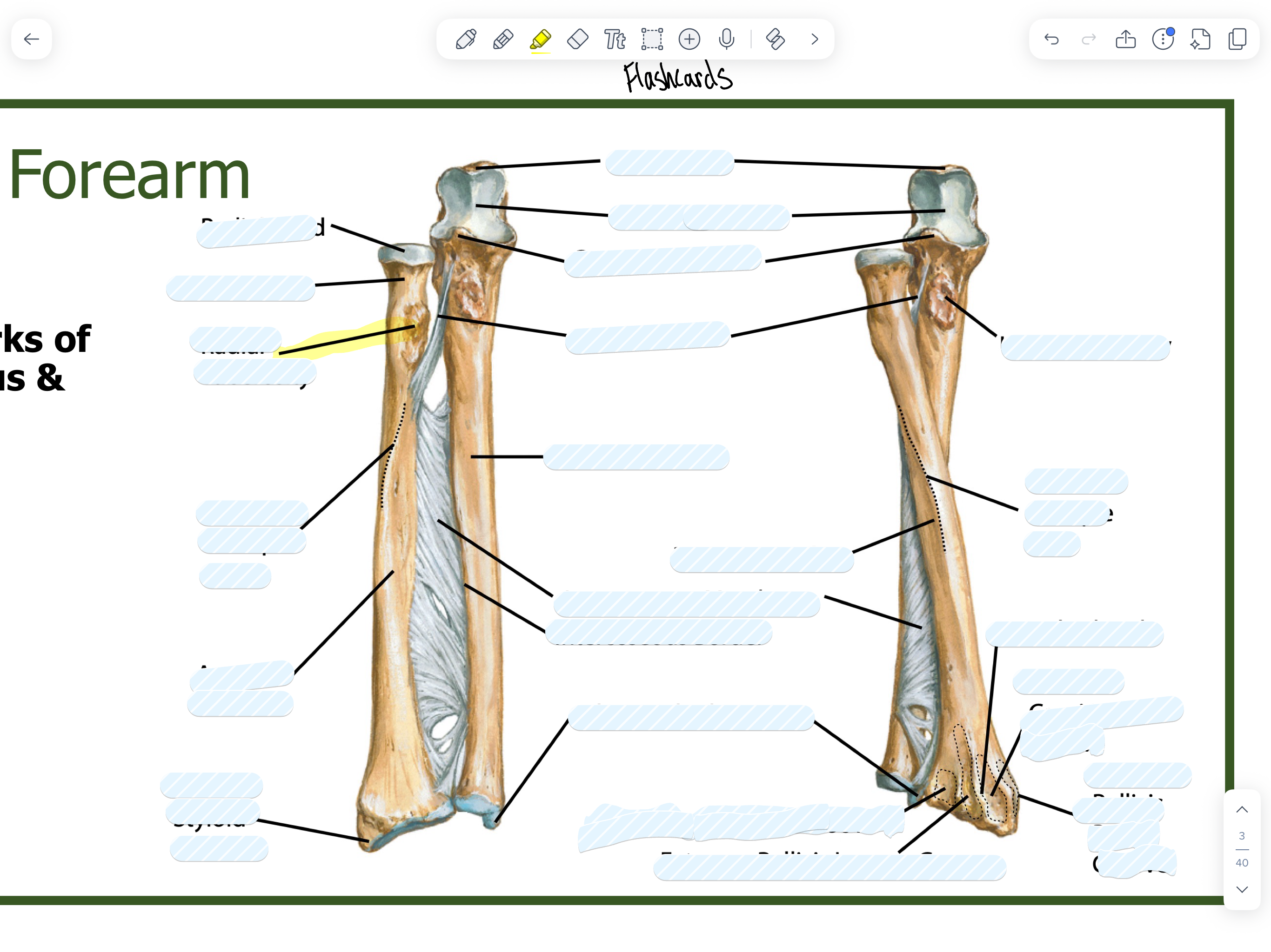 knowt flashcard image