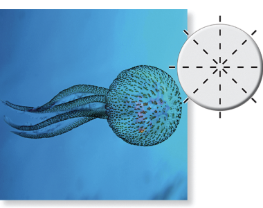 <p>What symmetry is this?</p>