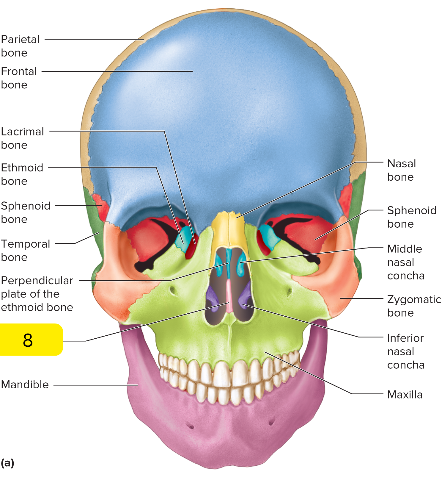 <p>What’s #8?</p>