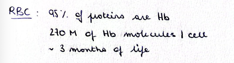 <p></p>