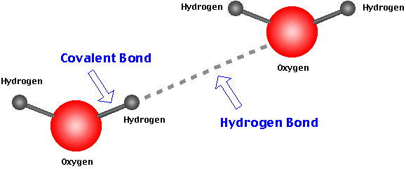 <p><span data-name="slightly_smiling_face" data-type="emoji">🙂</span> </p>