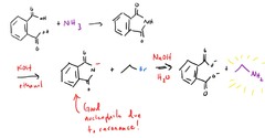 <p>Gabriel drank ammonia! OH NO!</p>