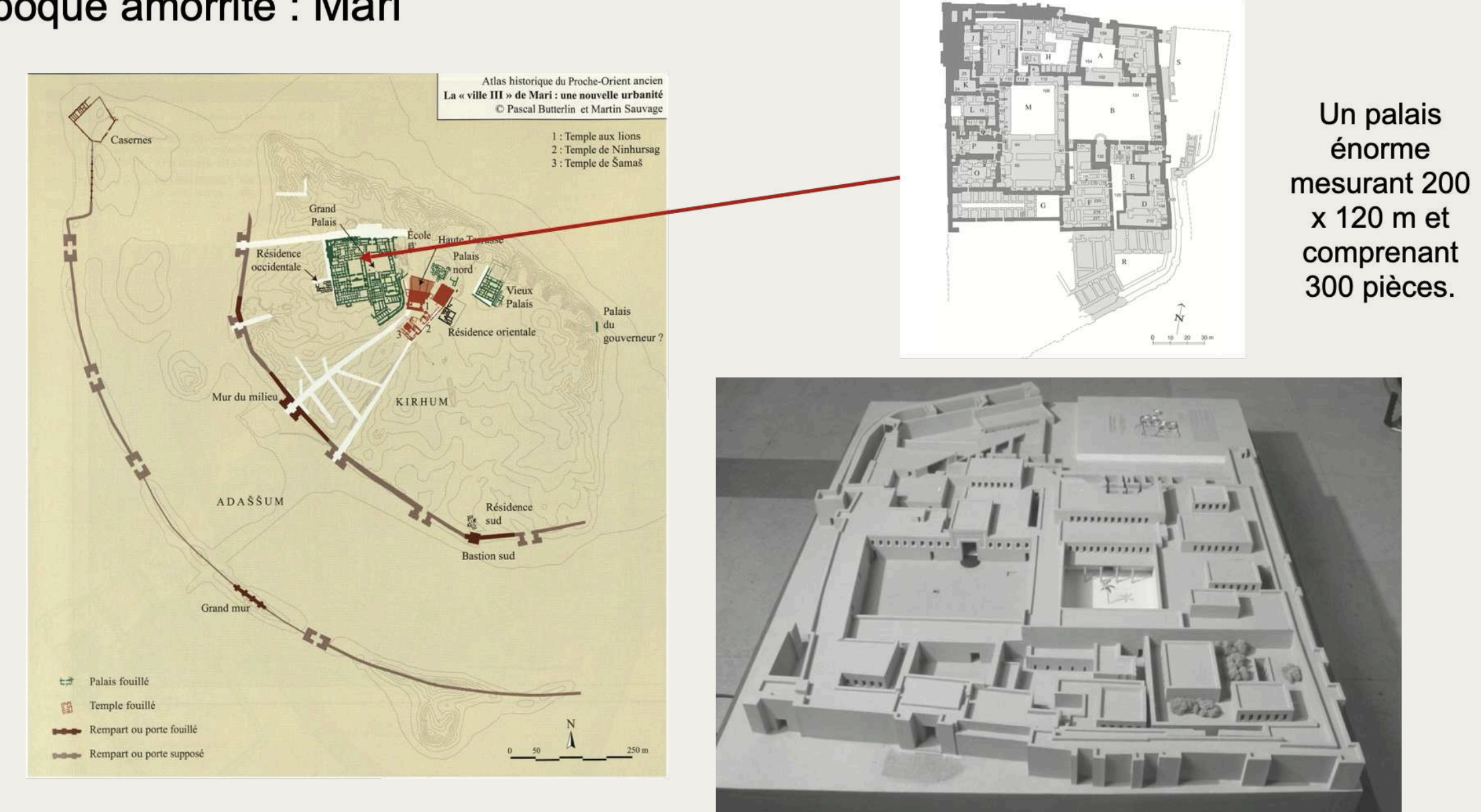 <p><strong>Découverte et importance</strong></p><p>Mari = site de Tell Hariri, en Syrie actuelle.</p><p>Fouilles dès 1933 → mise au jour d’un palais monumental de 300 pièces.</p><p>Découverte majeure : plus de 20 000 tablettes d’argile.</p><p><u>Langue</u> : principalement l’akkadien (dialecte babylonien), mais aussi du sumérien.</p><p><u>Période</u> : surtout le règne de Zimri-Lim (1775-1761), mais aussi des phases antérieures.</p><p>Ces archives offrent une vision unique de la vie politique, sociale, religieuse et économique au IIe millénaire.</p><p><strong>b) Nature des documents</strong></p><p><u>1. Correspondance diplomatique</u></p><ul><li><p> Lettres entre Zimri-Lim et d’autres rois (Babylone, Alep, Qatna, etc.).</p></li><li><p> Témoignent des alliances, des trahisons, du protocole (« frère » / « fils » / « serviteur»).</p></li><li><p> Exemple : rapports détaillés sur les mouvements des armées ennemies.</p></li></ul><p>Mari = site de Tell Hariri, en Syrie actuelle.</p><p>Fouilles dès 1933 → mise au jour d’un palais monumental de 300 pièces.</p><p>Découverte majeure : plus de 20 000 tablettes d’argile.</p><p><u>Langue</u> : principalement l’akkadien (dialecte babylonien), mais aussi du sumérien.</p><p><u>Période</u> : surtout le règne de Zimri-Lim (1775-1761), mais aussi des phases antérieures.</p><p>Ces archives offrent une vision unique de la vie politique, sociale, religieuse et économique au IIe millénaire.</p><p><strong>b) Nature des documents</strong></p><p><u>1. Correspondance diplomatique</u></p><ul><li><p> Lettres entre Zimri-Lim et d’autres rois (Babylone, Alep, Qatna, etc.).</p></li><li><p> Témoignent des alliances, des trahisons, du protocole (« frère » / « fils » / « serviteur »).</p></li><li><p> Exemple : rapports détaillés sur les mouvements des armées ennemies.</p></li></ul><p><strong>Administration interne</strong></p><ul><li><p> Rapports de gouverneurs provinciaux.</p></li><li><p> Contrôle des tribus semi-nomades.</p></li><li><p> Gestion des impôts, du commerce, des distributions de rations.</p></li></ul><p><strong>3. Vie religieuse et rituelle</strong></p><ul><li><p> Textes sur des sacrifices, processions, fêtes.</p></li><li><p> Pratiques divinatoires : présages, interprétation des songes, foies d’animaux.</p></li><li><p> Mention du mariage sacré (hiérogamie).</p></li></ul><p><strong>4. Économie et société</strong></p><ul><li><p> Tablettes de gestion agricole, élevage, organisation du travail.</p></li><li><p> Contrats de mariage, ventes, prêts.</p></li><li><p> Témoignages sur la cohabitation sédentaires / nomades.</p></li></ul><p><strong>5. Culture matérielle</strong></p><ul><li><p> Recettes de cuisine, inventaires de banquets.</p></li><li><p> Objets cultuels : bétyles (pierres sacrées représentant un dieu).</p></li><li><p> Indices d’artisanat et de commerce (métaux, textiles, etc.).</p></li></ul><p><strong>Le palais de Mari</strong></p><p>Vaste complexe (~2,5 ha, 300 pièces).</p><p><u>Organisation en quartiers :</u></p><p>o Quartier royal et salle du trône.</p><p>o Espaces administratifs et archives.</p><p>o Quartier religieux avec temples intégrés.</p><p><u>Décor :</u></p><p>o Fresques murales, dont la plus célèbre = Investiture de Zimri-Lim : la déesse Ishtar/Inanna remet les insignes royaux au roi → légitimation divine du pouvoir.</p><p>o Lions monumentaux encastrés dans les murs des temples → impression d’animaux vivants surgissant des parois.</p><p><strong>Apports historiques</strong></p><p>Les archives de Mari sont essentielles pour :</p><p><strong>1. Comprendre la géopolitique de la Syrie et de la Mésopotamie au XVIIIe s.</strong></p><ul><li><p> Relations entre Mari, Babylone, Alep, Qatna, Larsa...</p></li><li><p> Jeu d’alliances et rivalités.</p></li></ul><p><strong>2. Éclairer la gestion d’un royaume amorrite.</strong></p><ul><li><p> Organisation des provinces, rôle des gouverneurs, alliances tribales.</p></li></ul><p><strong>3. Approcher la vie quotidienne et religieuse.</strong></p><ul><li><p> Divination, fêtes, rituels, alimentation.</p></li></ul><p><strong>4. Saisir la complexité sociale.</strong></p><ul><li><p> Interaction entre sédentaires, pasteurs et nomades.</p></li></ul><p><strong>Fin de Mari</strong></p><p>Zimri-Lim, allié un temps d’Hammurabi, finit par être trahi. 1761 av. J.-C. : Mari est détruite par Hammurabi. Le palais est incendié → ce qui a paradoxalement permis la conservation exceptionnelle des archives.</p>