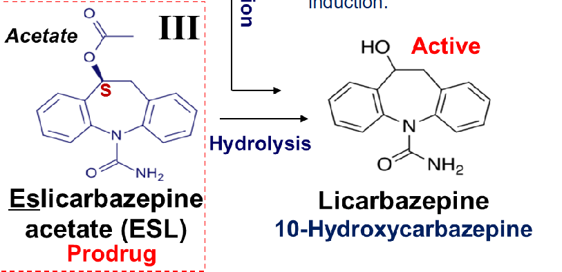 <p>ESL has acetate ester → it’s hydrolyzed to have an OH group on 10’ to be licarbezepine</p><p>hydroxyl minimized auto-induction</p><p>does not metabolized into iminoquinolone or epoxide</p>