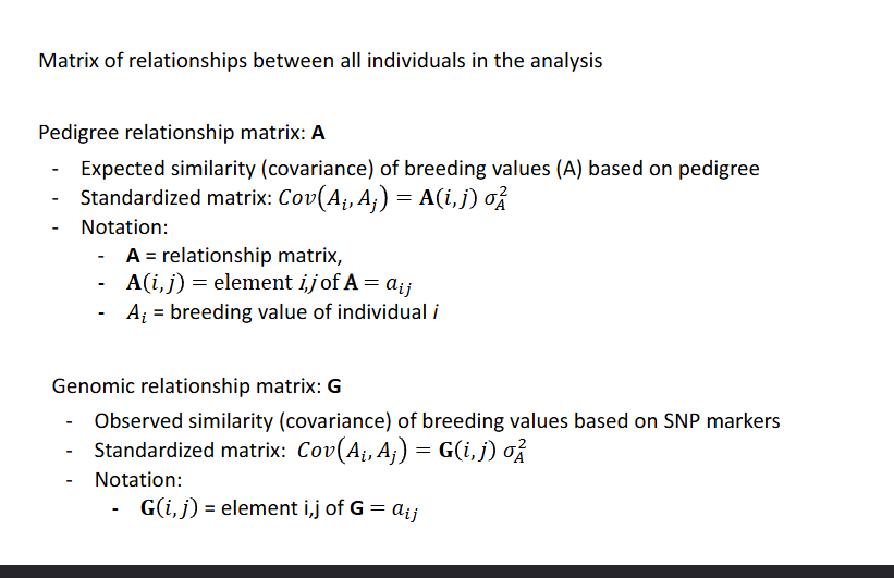 <p>Matrix of relationships between all individuals in the analysis</p><ul><li><p>Pedigree relationship matrix A</p></li><li><p>Genomic relationship matrix G</p></li></ul><p></p>