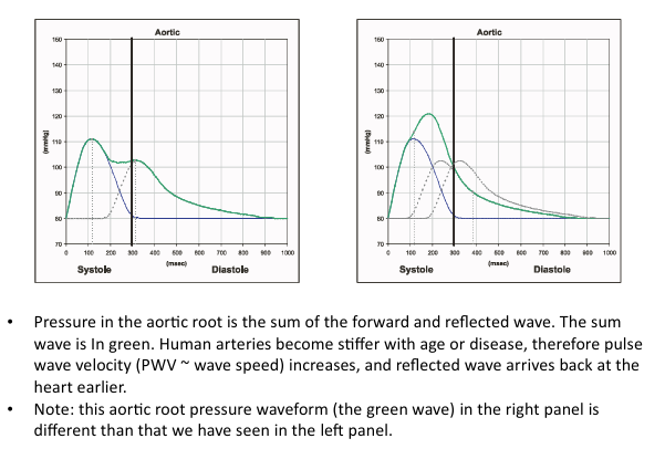 <p>the sum of the forward and reflected wave</p>