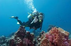 <p>to scuba dive/snorkel</p>