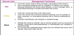 <p>Color-coded system for wound assessment.</p>