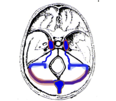 <p>label</p>