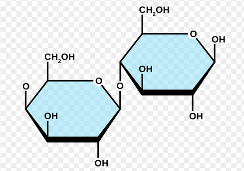 <ul><li><p>Comprise of beta-D-galactose and D-glucose molecule</p></li><li><p>Beta (1→4) glycosidic linkage</p></li><li><p>Constitutes 5% cow’s milk and 7% human milk, mammalian milk</p></li></ul><p></p>