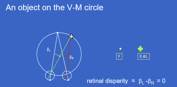 <p>The Vieth-Müller circle is the circle that passes through the fixation point and the two entrance pupils.<br>It represents the locations in space where objects create equal oculocentric angles in the two eyes, meaning: <span>βL</span>=<span>βR</span><br>Objects on this circle are seen with zero retinal disparity.</p>