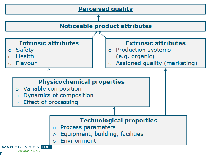 <ul><li><p>Do not necessarily have a direct relationship with the product properties, although they can still change the perception of the consumer of the quality of the product. </p></li><li><p>These extrinsic attributes relate to the production and marketing aspects of the product and can therefore influence the acceptability of the product (e.g. animal welfare, sustainability). </p></li></ul><p></p>
