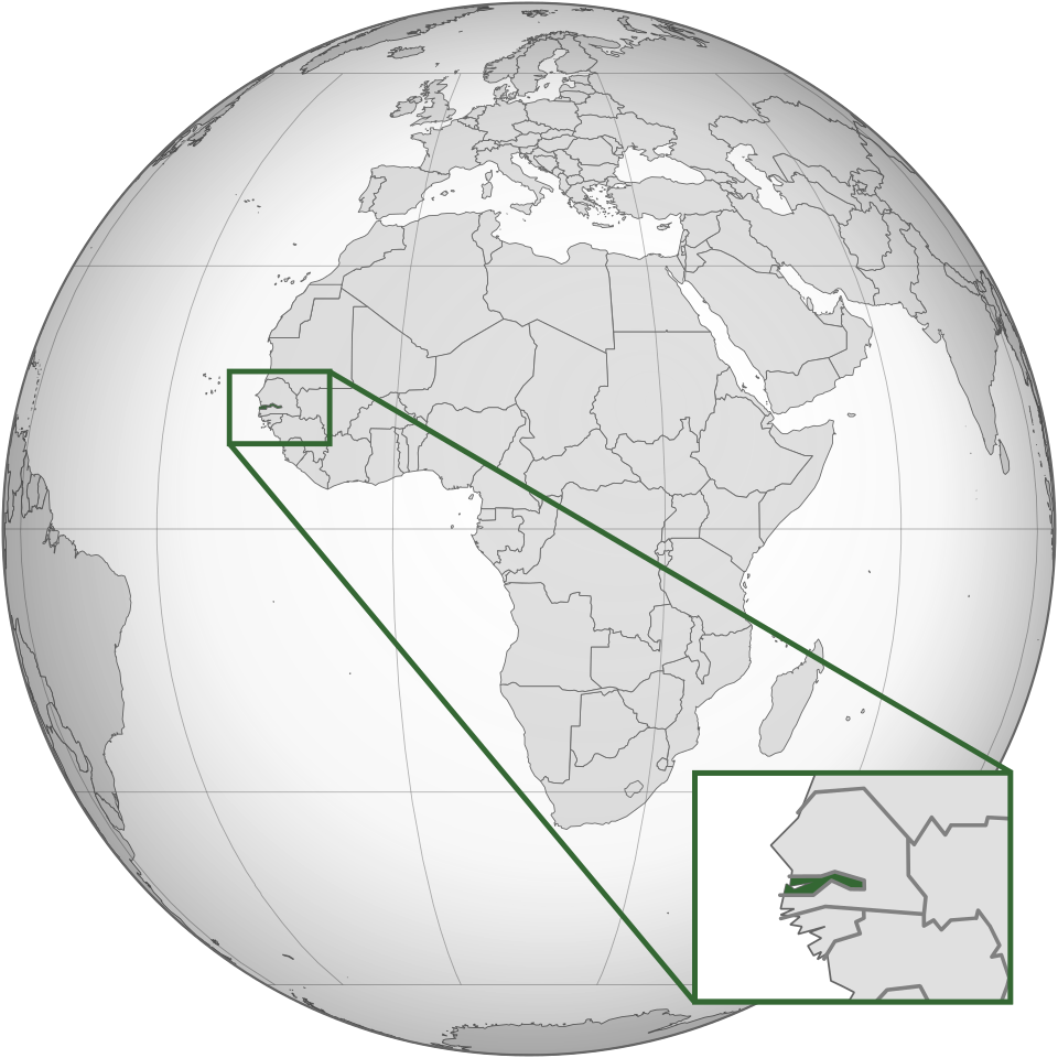 term image