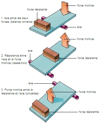 <p><span><strong><u><span>a) Inter-appui</span></u></strong></span></p><p><span><span>Le pivot est au milieu.</span><span><br></span><span>Rôle surtout dans l’</span><strong><span>équilibre</span></strong><span>.</span></span></p><p><span><strong><u><span>b) Inter-résistant</span></u></strong></span></p><p><span><span>La charge est au milieu.</span><span><br></span><span>Avantage mécanique en </span><strong><span>force</span></strong><span>.</span></span></p><p><span><strong><u><span>c) Inter-moteur</span></u></strong></span></p><p><span><span>La force motrice est au milieu.</span><span><br></span><span>Avantage plutôt en </span><strong><span>vitesse / amplitude</span></strong></span></p>