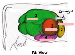 <p>1</p>