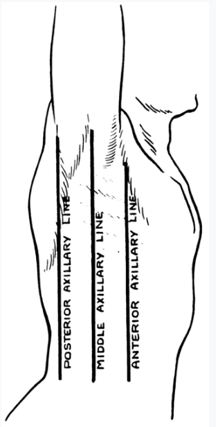 <p>Divides the body in half by your armpit area (middle)</p>