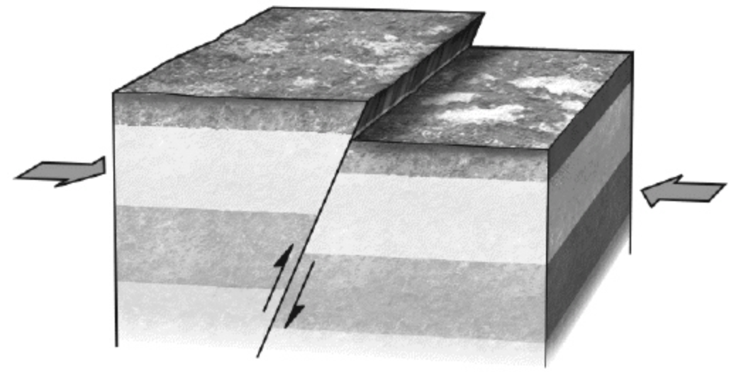 <p><span>During an earthquake, if the hanging wall slides upward relative to the footwall, the fault is termed a ________ fault if the fault is steep (closer to vertical than horizontal). Refer to the figure for an example of such a feature.</span></p>