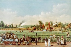 <p>These plantations required a loarge land area and many slaves. (p. 37)</p>