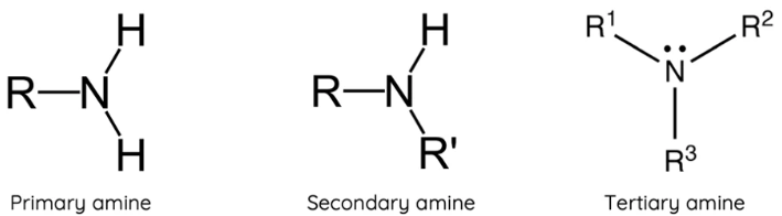<p>contains C-N bonds, N forms 3 bonds with either C or H</p>