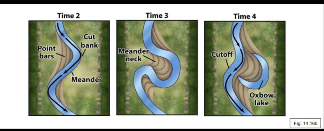 <p>• Modified during periods of high flow</p><p>• Fast water erodes the outside of the curve</p><p>• Slower water deposits point bars on the inside of the curve</p><p>• Cutoff Meanders at Pinch Points</p><p>• Leave behind Oxbow Lakes (abandoned meanders)</p><p></p>