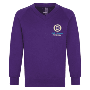 <p>a jumper</p>