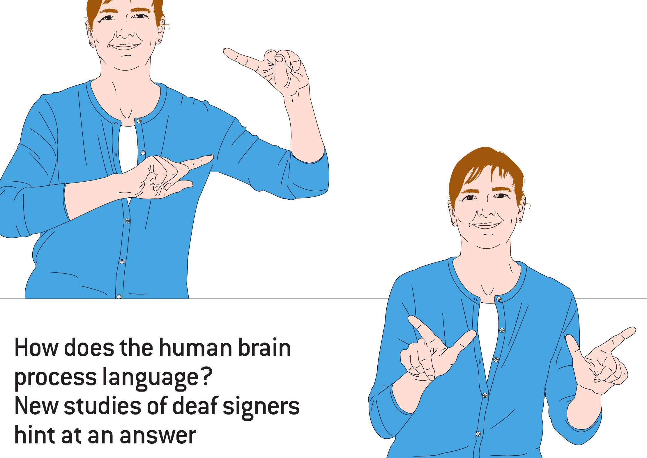 <p>Left Lateralisation (Sign Language)</p>
