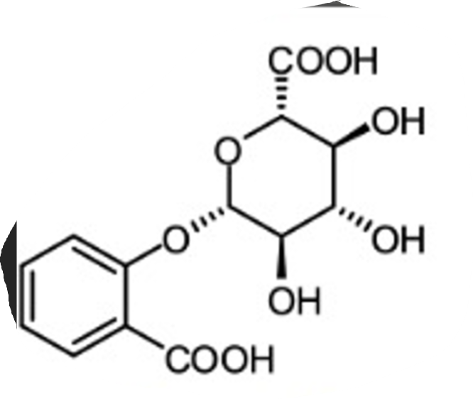 <p>What they are: Glucuronides are substances formed when the body attaches glucuronic acid to drugs</p><p>Why important: They help the body remove drugs and toxins in urine. </p>